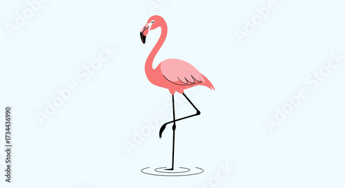 A single elegant pink flamingo standing on one leg in shallow water.