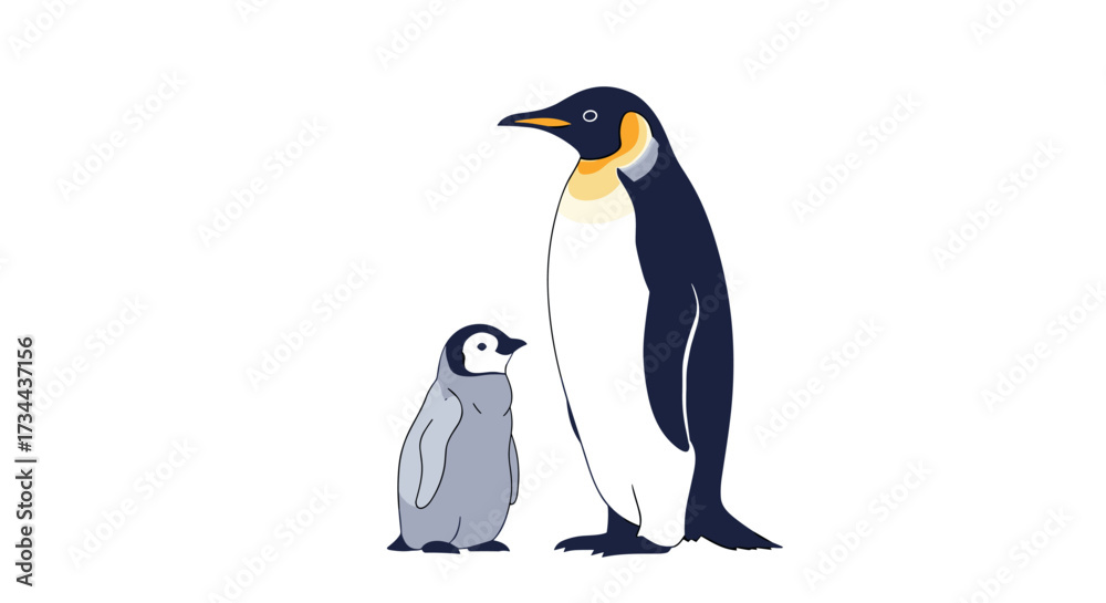 Fototapeta premium An adult emperor penguin stands next to its fluffy chick on a white background.