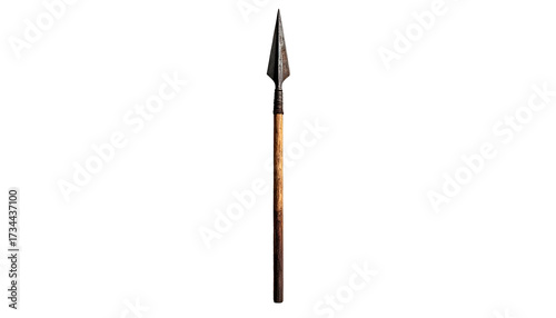 Ancient weapon, long spear with metal tip and wooden shaft