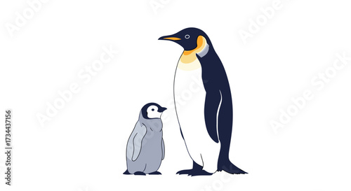 An adult emperor penguin stands next to its fluffy chick on a white background.