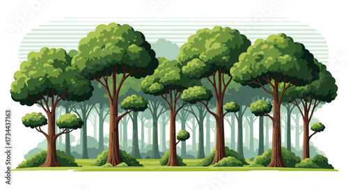 A vibrant forest canopy with lush green trees and a tranquil natural setting.