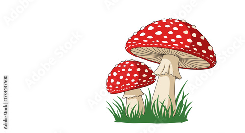 Detailed illustration of two distinctive red mushrooms with white spots in green grass.