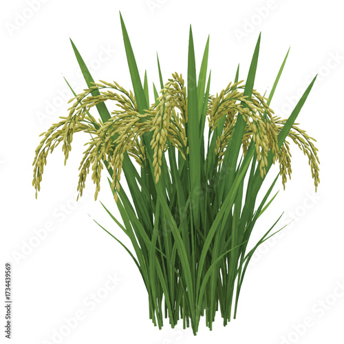 A lush, vibrant green rice plant, presented as a realistic 3D vector illustration, stands prominently on a clean, plain white background, highlighting its natural beauty and agricultural significance.