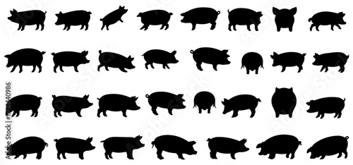 black pig silhouette vector set
