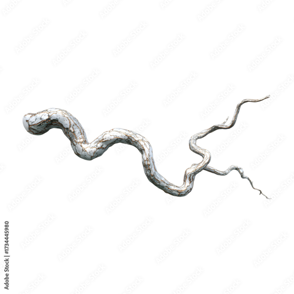 Obraz premium A gnarled and twisted root or branch with a rough textured surface isolated on transparent background