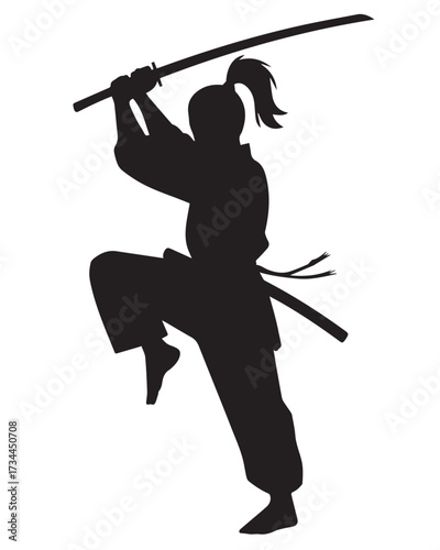 japanese sword warrior silhouette mid action katana raised ponytail gi obi traditional combat art