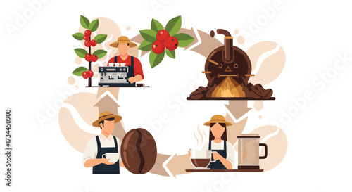 Coffee Production Process From Bean to Cup Illustrated Cycle.