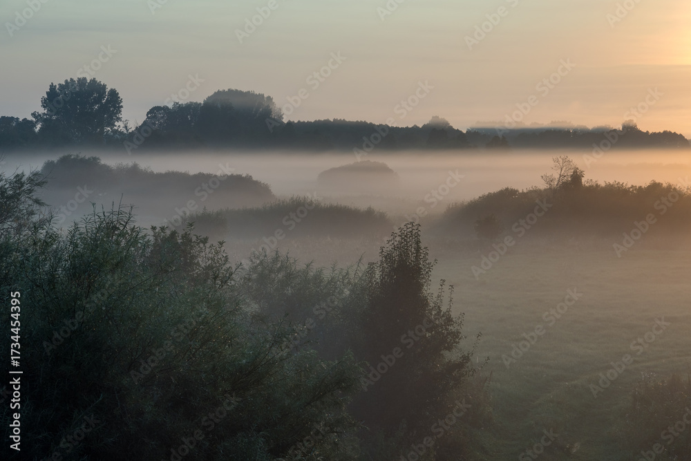 Fototapeta premium Poranek z jesiennymi mgłami w Dolinie Narwi, Podlasie, Polska