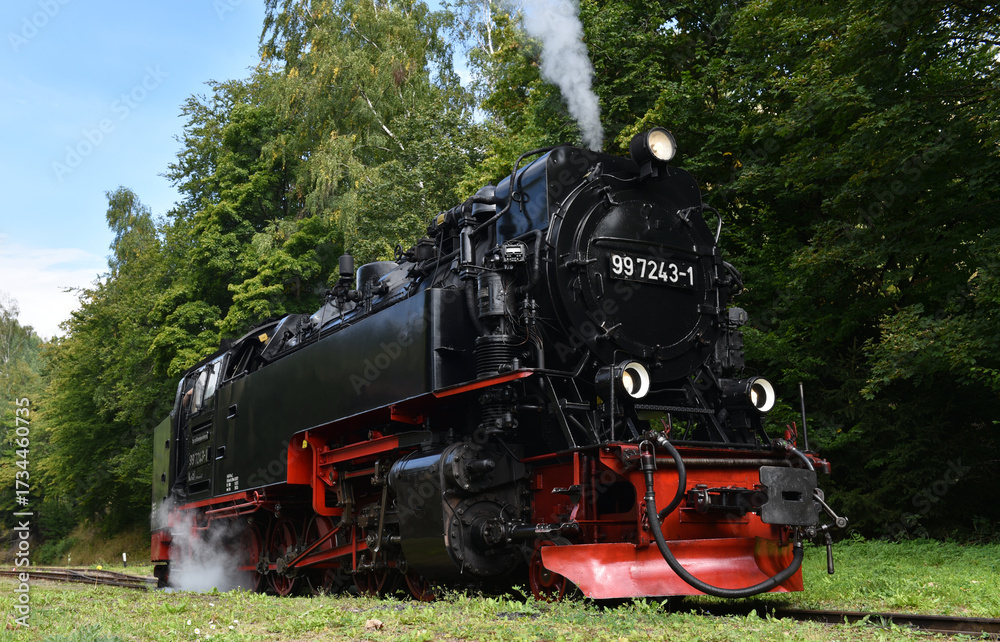 Obraz premium Dampflok der Harzer Schmalspurbahn 