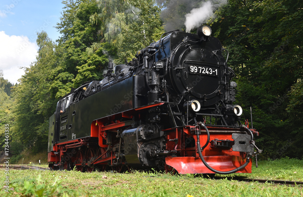Naklejka premium Dampflok der Harzer Schmalspurbahn 