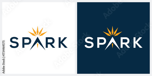 Spark typography logo graphic vector, wordmark design text template	