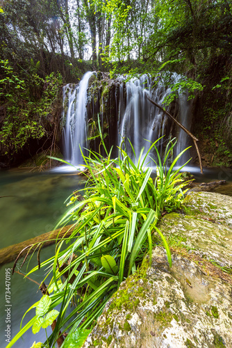 Parc naturel volcanique de la Garrotxa