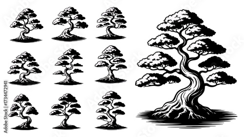 Collection of bonsai tree illustrations in black and white style
