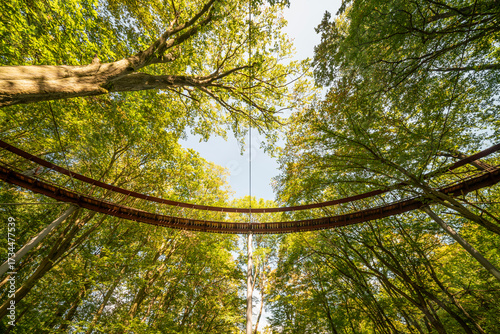 Tis round shaped canopy trail is on the Gerecse mountains in North Hungary. The structure is surrounded by beautiful green trees in the forest