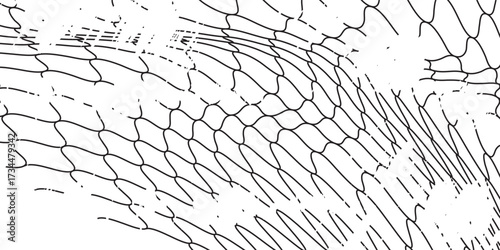 Mesh texture for fishing nets. eps 10. sport illustration modern