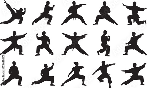Judo throw silhouette vector on white background
