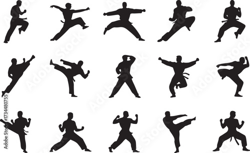 Karate kick silhouette vector on white background
