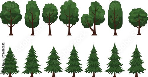Collection of deciduous and coniferous tree illustrations with green foliage, seasonal diversity, and natural forest elements for educational and design use