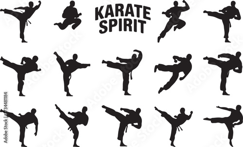 Karate kick silhouette vector on white background