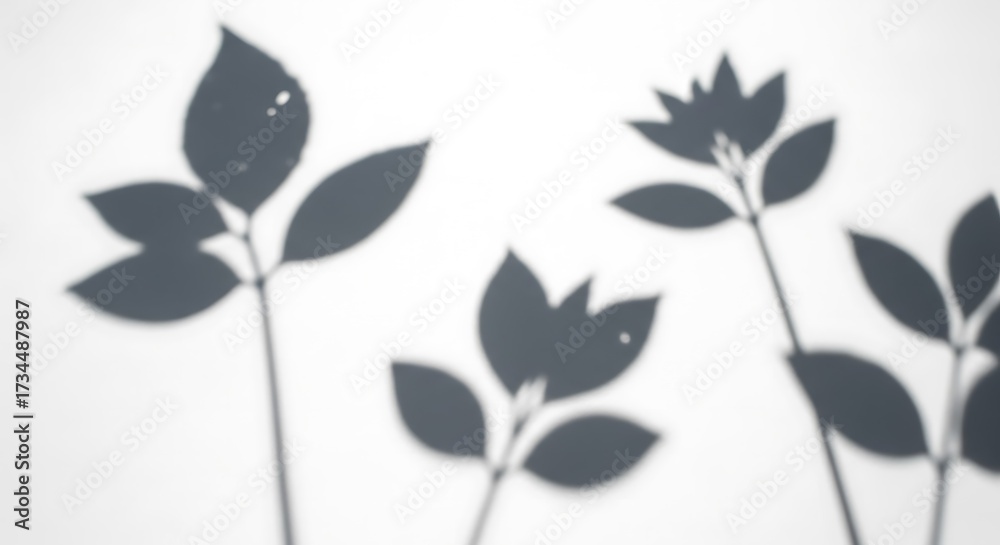 Obraz premium Blurred shadows of floral stems and leaves on a white surface
