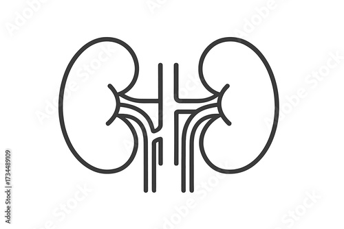 Kidneys line icon vector. Human internal organ anatomy symbol. Urology and nephrology concept. Health care logotype for hospital, clinic. Renal system outline pictogram isolated.