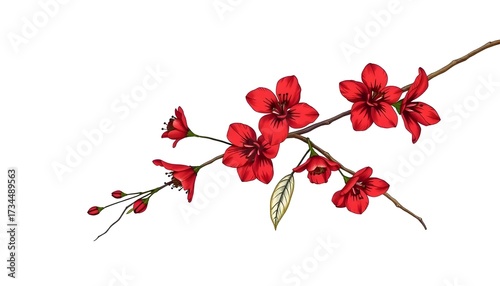 Vibrant red blossom branch studio setting illustration minimalist close-up nature