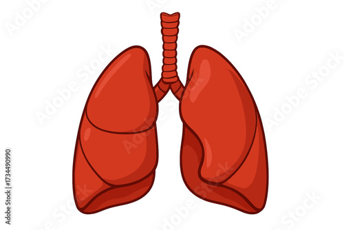 Human internal organ lungs vector illustration. Healthy respiratory system concept. Anatomy of breathing organ. Medical biology science symbol for pulmonology clinic logo design.