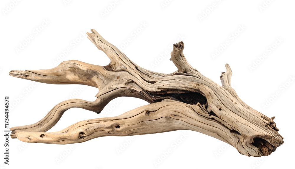 Fototapeta premium Weathered driftwood isolated on black background. Organic texture, natural wood