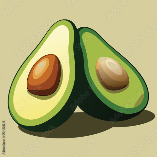 Avocado isolated on white stock Vector illustration
