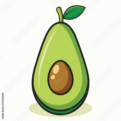 Avocado isolated on white stock Vector illustration
