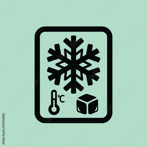 Winter Weather Indicator with Snowflake, Thermometer, and Ice Cube Symbols on Light Green