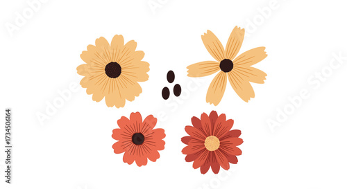 Decorative floral elements with seeds and petals creating natural designs for crafting and art projects.