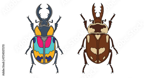 Two intricately designed colorful beetles with prominent horns and segmented bodies showcased against a white background.