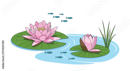 Two blooming pink water lilies float serenely on a calm pond with small fish swimming around them.