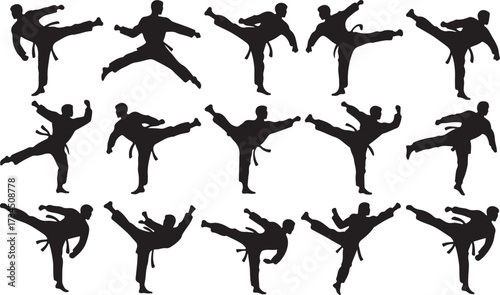 Taekwondo kick silhouette vector on white background