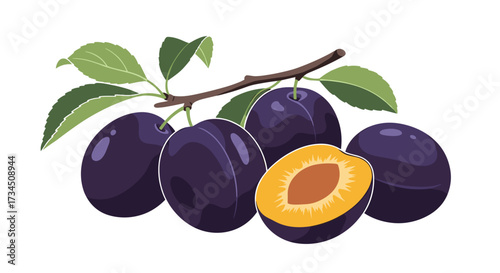 Fresh ripe plums with leaves on a branch and one plum cut in half.