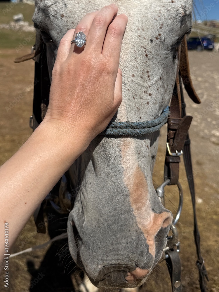 Fototapeta premium Vertical photo of a hand resting on a horse showing an oval diamond engagement ring on a platinum band. Sharp texture and natural daylight provide a clear lifestyle and animal themed image.