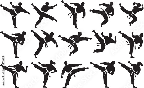 Taekwondo kick silhouette vector on white background