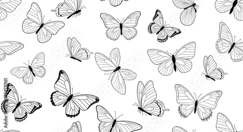 A charming collection of detailed monochrome butterflies adorning a crisp white background.