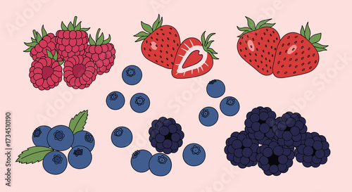 A delightful assortment of fresh berries including strawberries raspberries blueberries and blackberries.