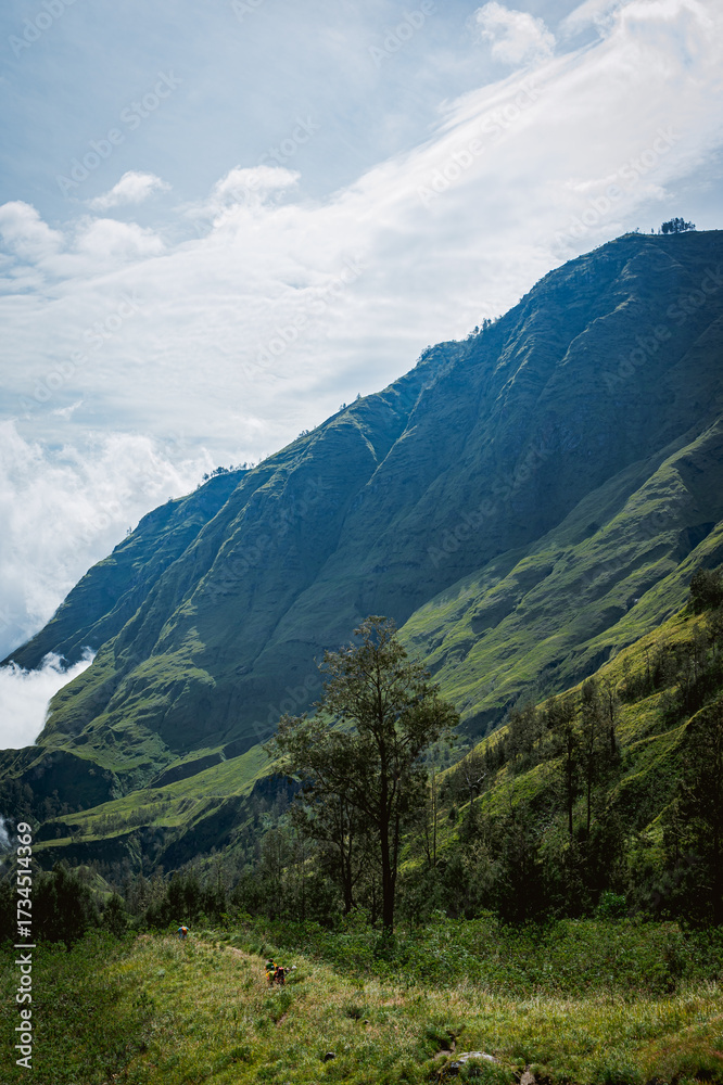 Naklejka premium Majestic mountain landscape indonesia nature photography lush green environment aerial view serenity and adventure