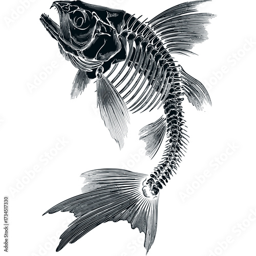 Fish skeleton graphic artwork, skeletal remains, in the aquatic world