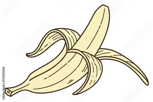 Peeled Banana illustration in flat vector style
