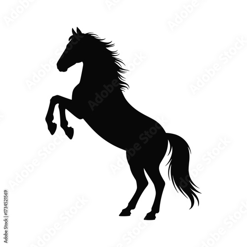 Silhouette of a Rearing Horse with Flowing Mane and Tail animal equine