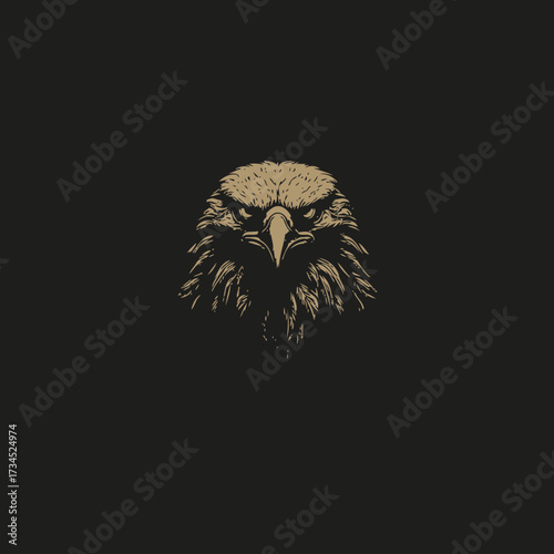 Eagle head portrait looking straight ahead on black background illustration