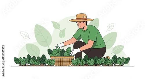 Illustration of a farmer harvesting spinach in a garden with a basket of produce, healthy farm