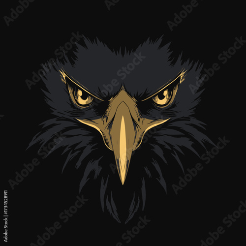 A striking illustration depicts the stern face of a hawk or eagle. The bird's intense gaze and golden beak contrast with the dark background