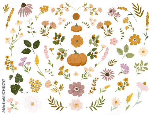 Set of autumn fall cozy hand drawn vector cliparts. Flowers, foliage, pumpkins, branches and stems with florals for cards and posters decorating