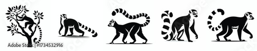 vector black and white silhouette of a lemur