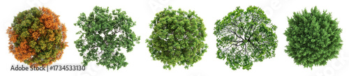 PNG Diverse tree top views, element set on transparent background